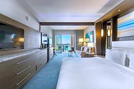 Deluxe King Suite