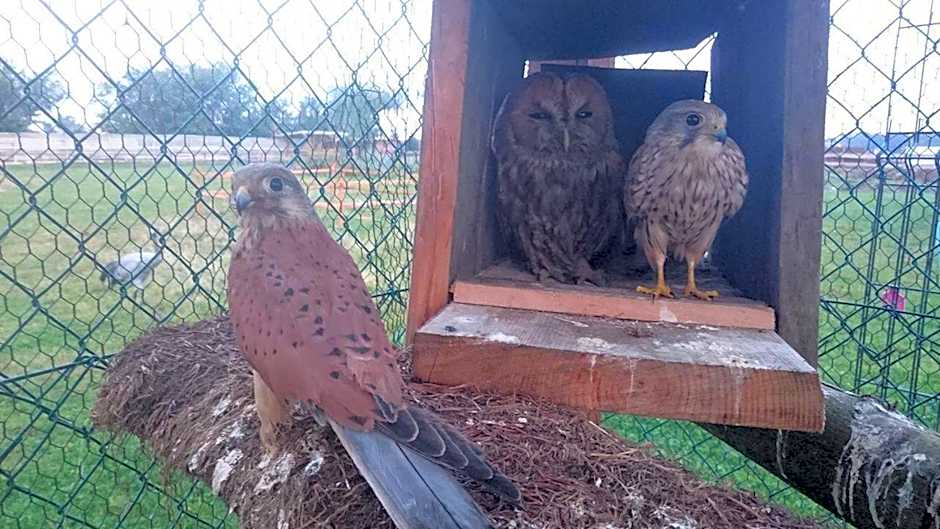 Agroturystyka Klekusiowo