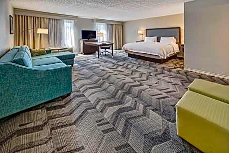 1 King Bed Studio Suite Whirlpool Nonsmoking