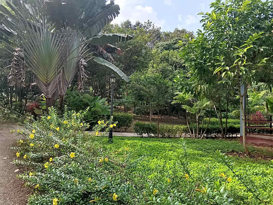 Khao Sok River & Jungle Bungalow