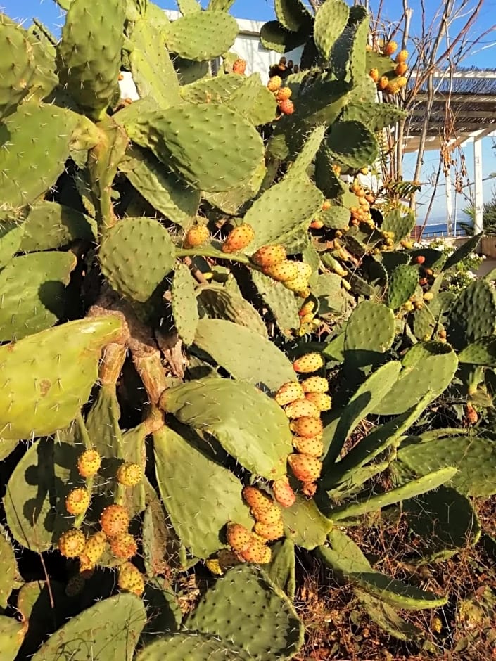 La Trinacria di Capo Passero