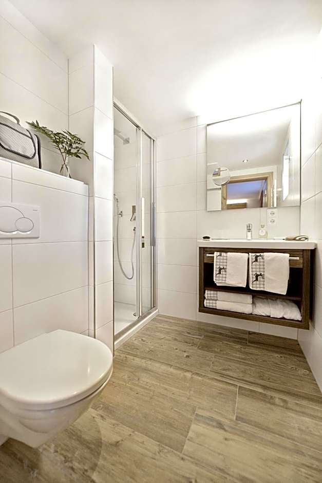 Hotel Alpina Superior