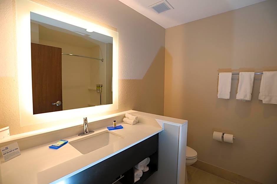 Holiday Inn Express And Suites Forney By IHG