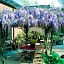 B&B Wisteria