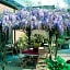 B&B Wisteria