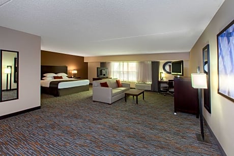 1 King Bed Deluxe Studio Suite Non-Smoking