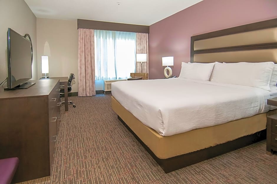 Holiday Inn - New Orleans Airport North, an IHG Hotel