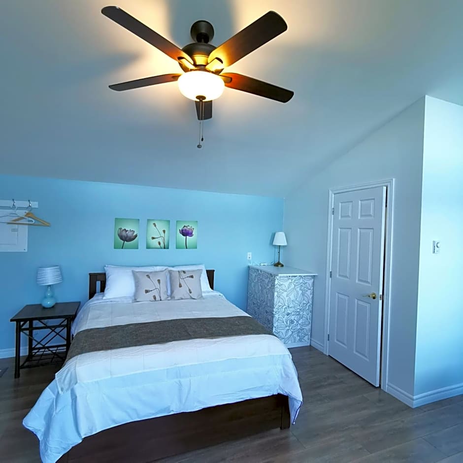 Knotty Pine Ocean Front Suite - Adults Only