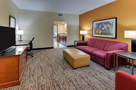 King Suite with Sofa Bed