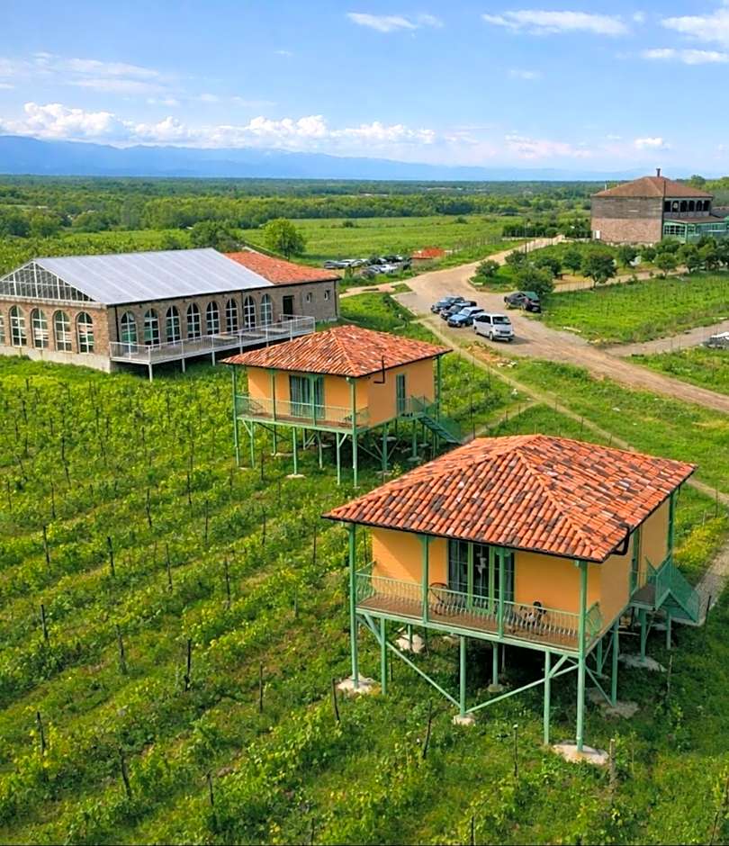 Chateau Vartsikhe