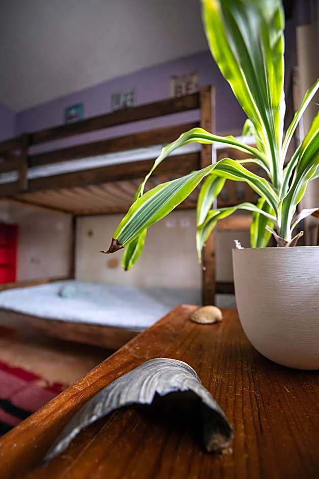 Natural Mystic Hostel