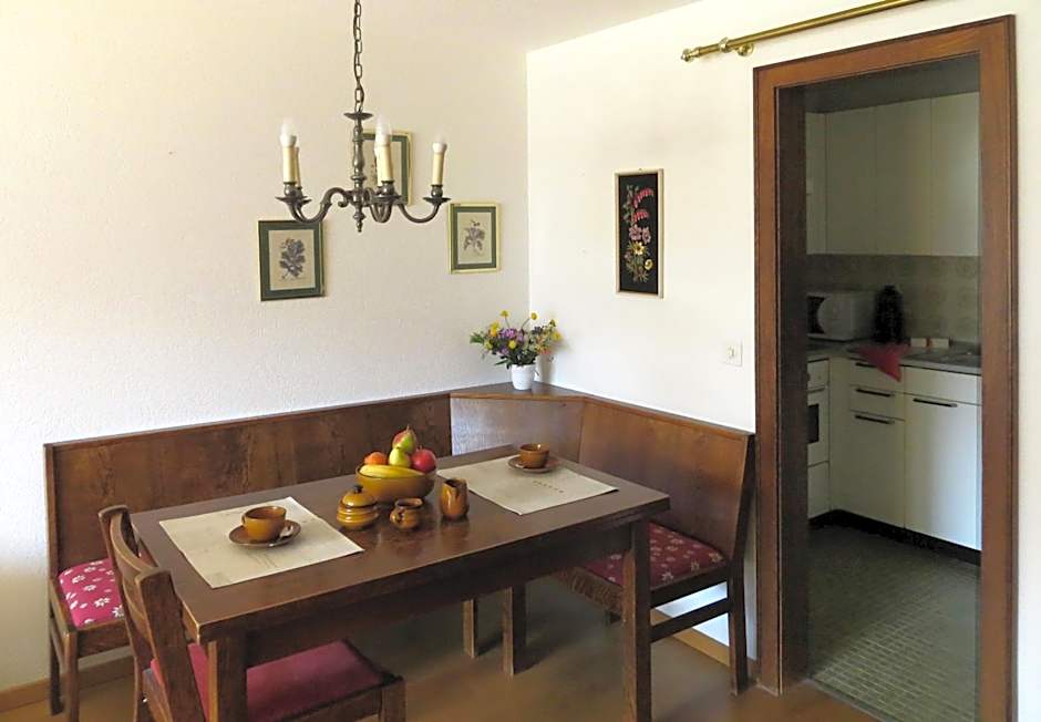 Holiday accommodation - swimming pool available