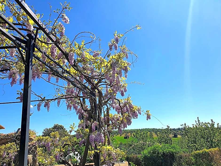 Residenza Santa Maria In Borraccia