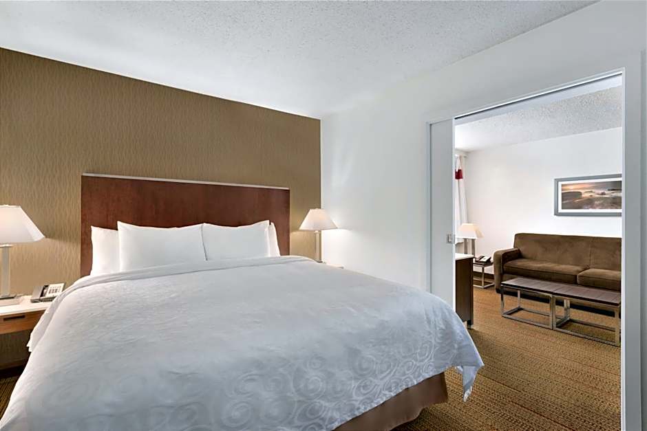 Photo 1 of 16 of 1 King Bed Suite