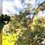 Royal Lake View Gardens