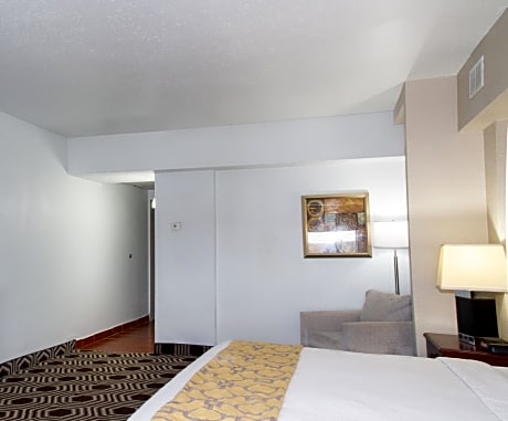 1 King Bed Studio Suite Non-Smoking