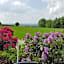 Cafe Sonnenschein & Pension