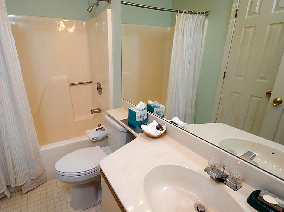 Winterplace on Okemo Mountain