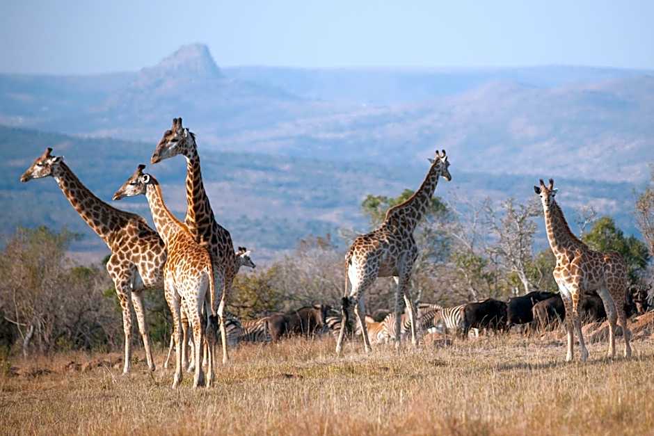 Fugitives Drift Lodge