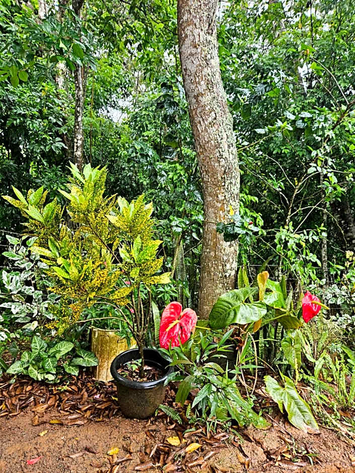 Casa com piscina em Guaramiranga - Chalé Verdelândia