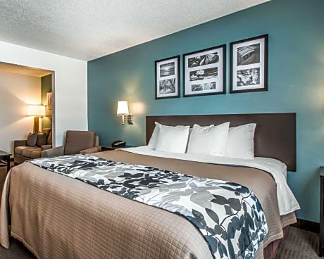 1 King Bed, Suite, Nonsmoking