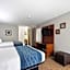 Comfort Inn & Suites St. Louis-Hazelwood