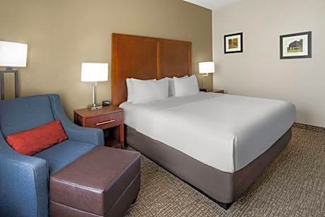 King Room with Roll-In Shower - Mobility Access/Non-Smoking