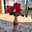 Le Jardin de Rose 24 FEUILLEBERT Romagne 86700