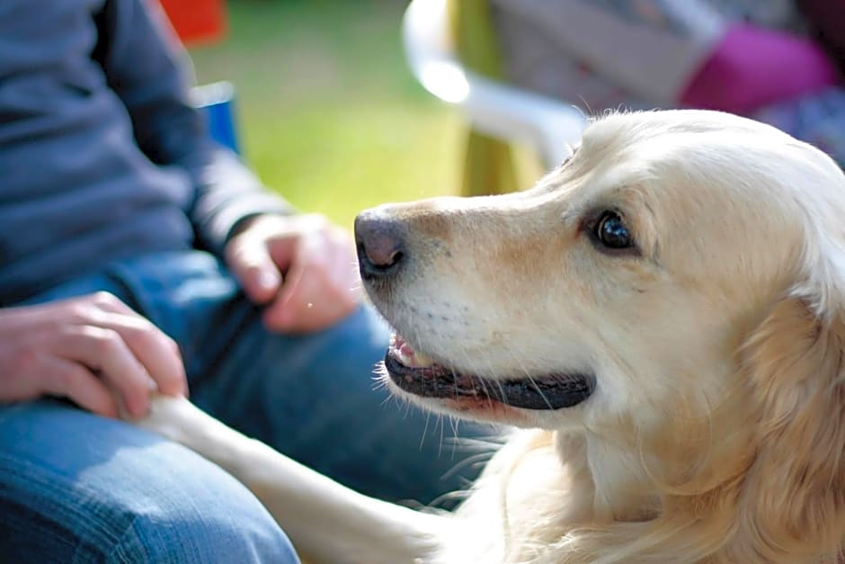 Giardino Dei Suoni B&B