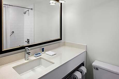 Suite, 1 Bedroom (1 Queen Bed and 1 Double Sofa Bed)