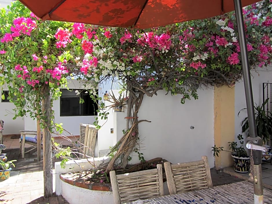 Baja Bed and Breakfast