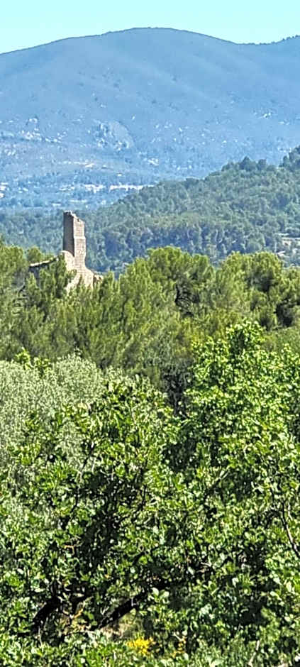 LES BOIS DE ZOLA entre Provence et Luberon