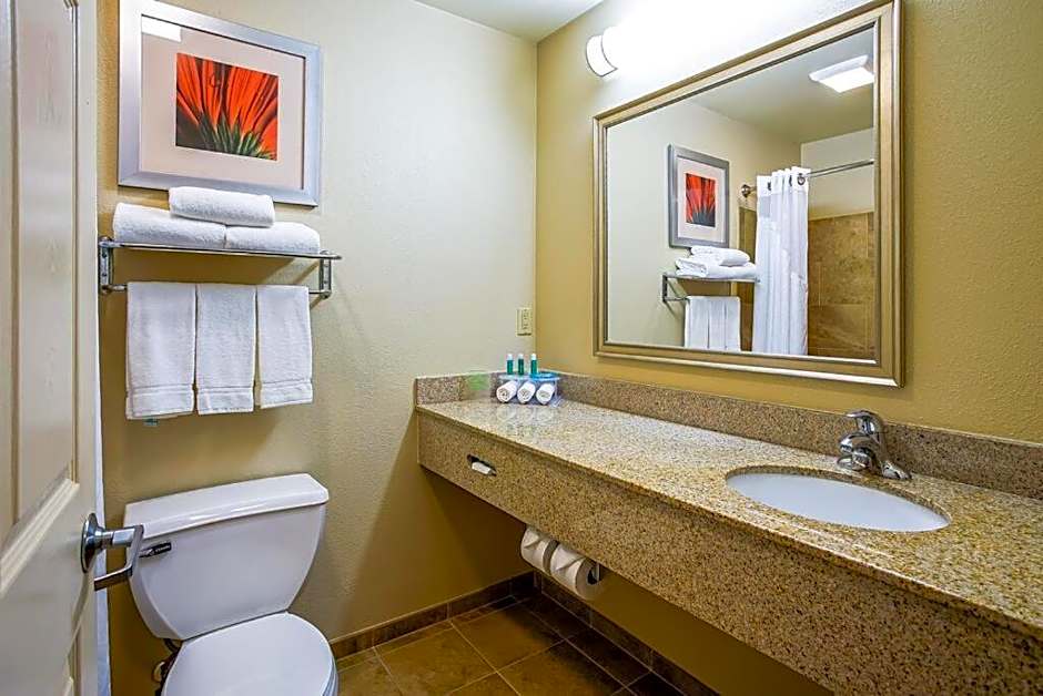 Holiday Inn Express Indianapolis North-Carmel By IHG