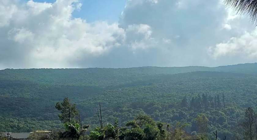 Cloud Green Residency