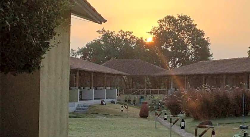 Asiatic Lion Lodge