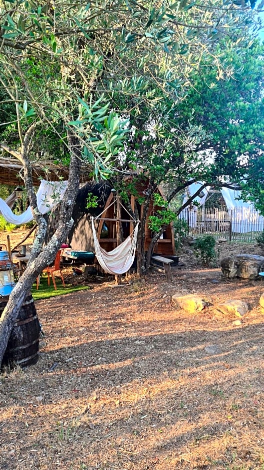 Gîte atypique Le Pod au coeur du maquis