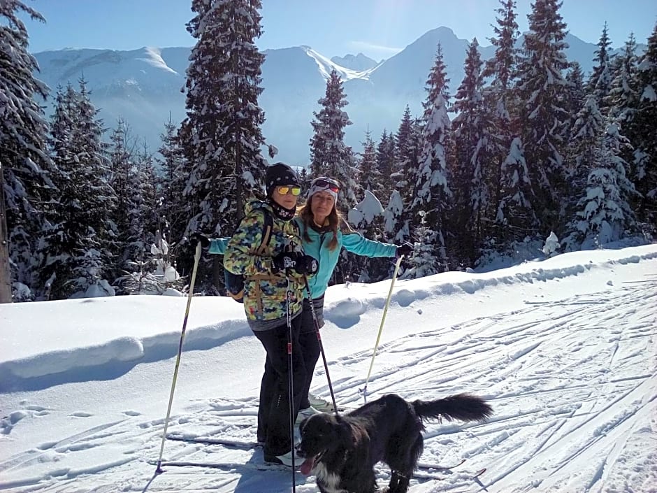 Chalúpka u Babičky