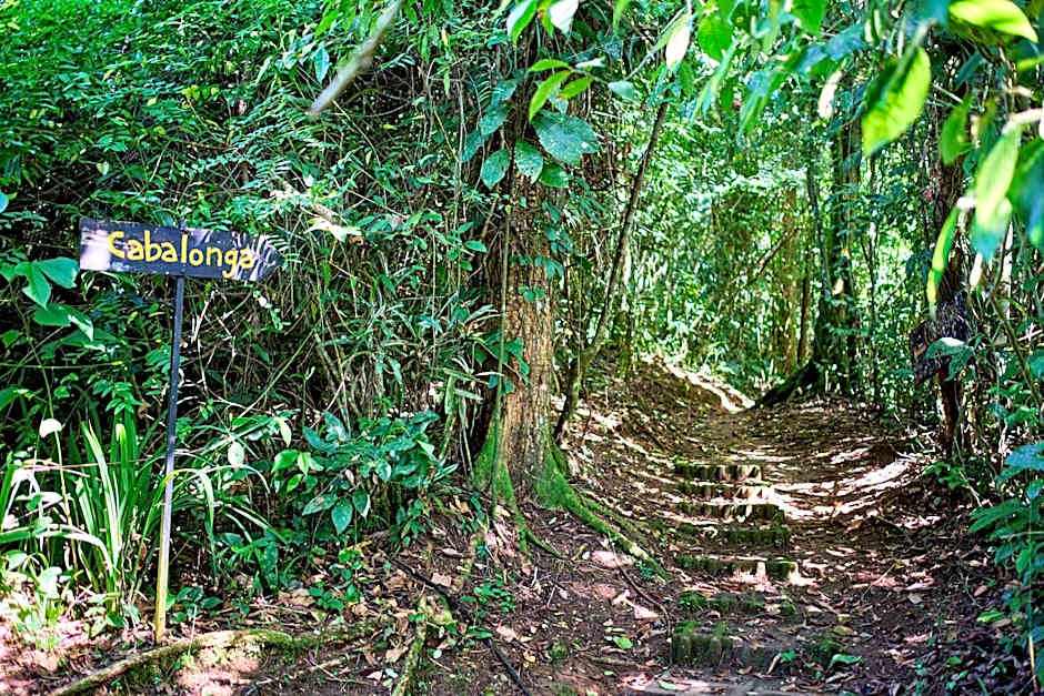 Finca Luna Nueva Lodge