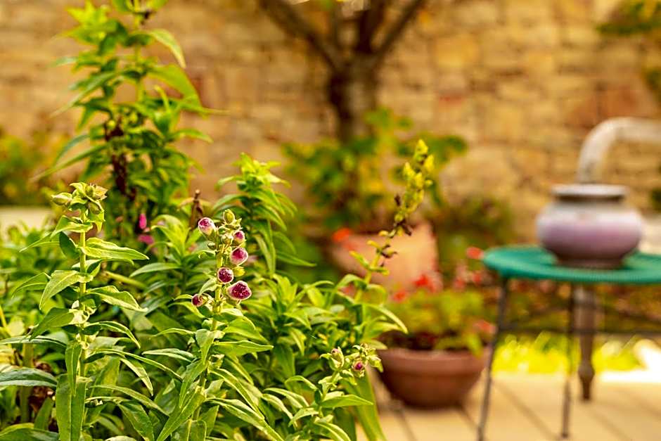 The rooms Bed & Breakfast