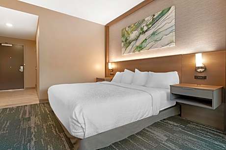 King Room with Roll-In Shower - Disability Access