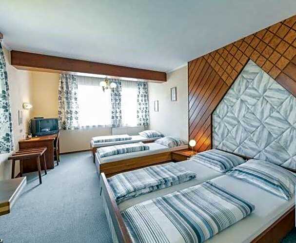 Austria Traveller Hotel Lenzing