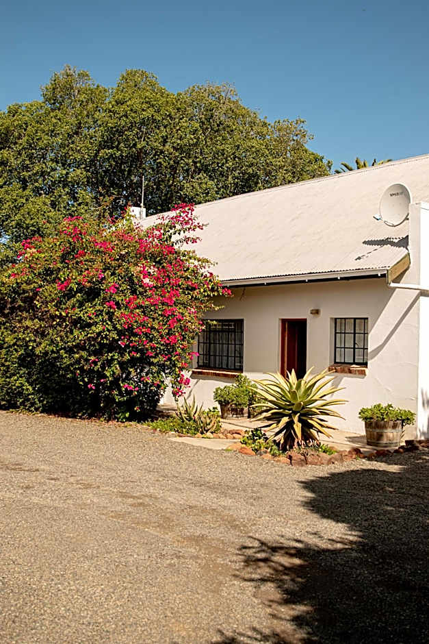 4 Rothman Street B&B