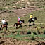 Sani Lodge & Cottages