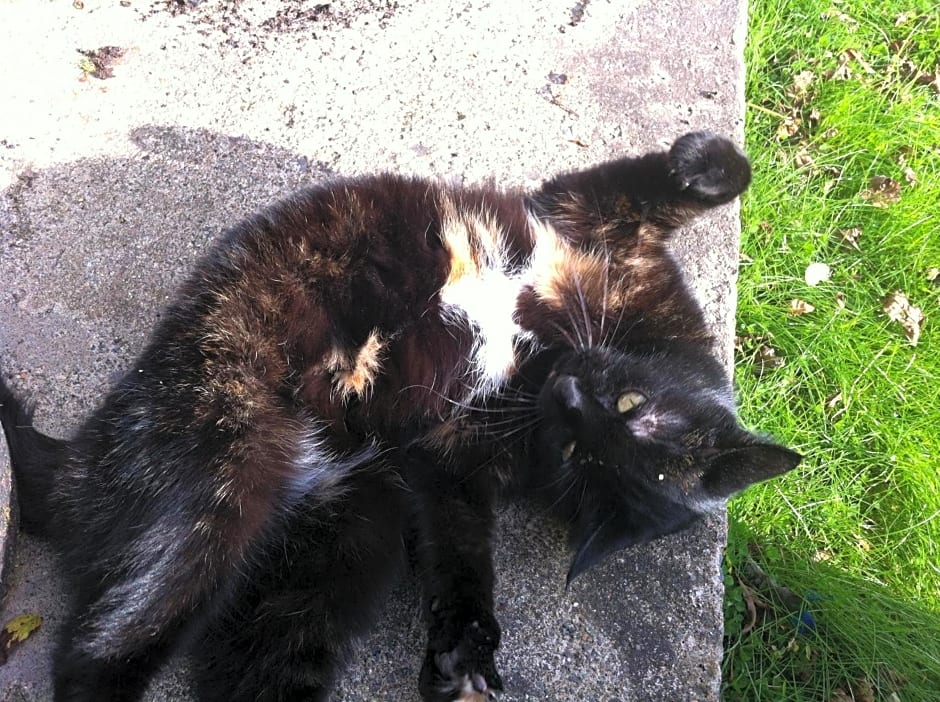 Five Saints Farmhouse B&B