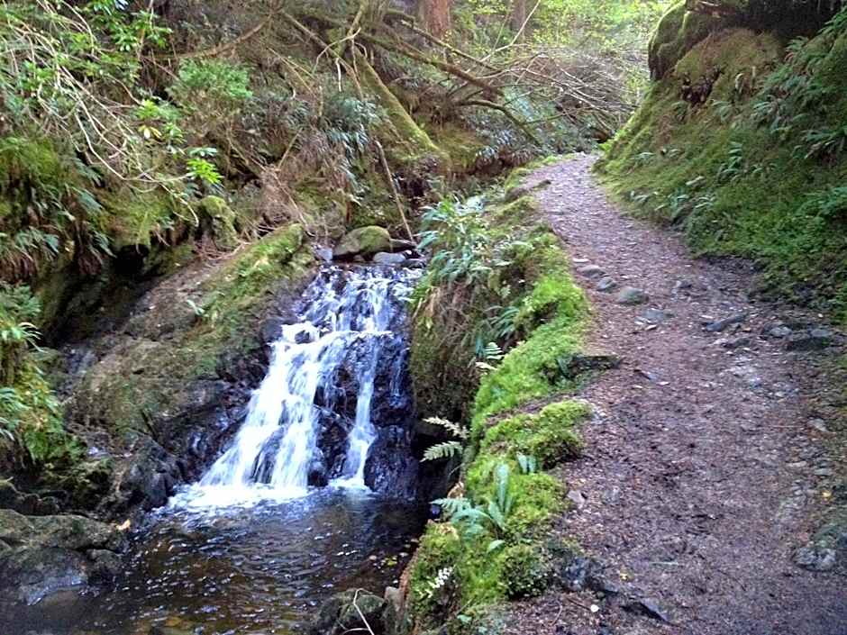 Pucks Glen Lodges - Cosy Lodges in a Woodland Setting