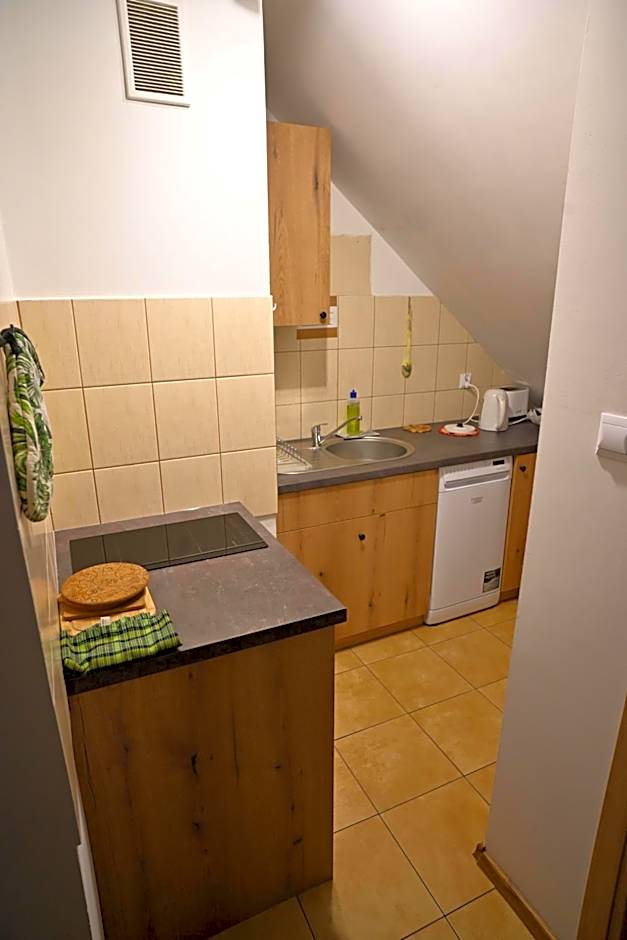 Kocurzonka Apartamenty