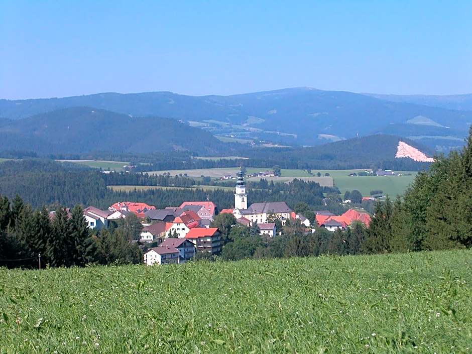 Joglland Hotel Prettenhofer