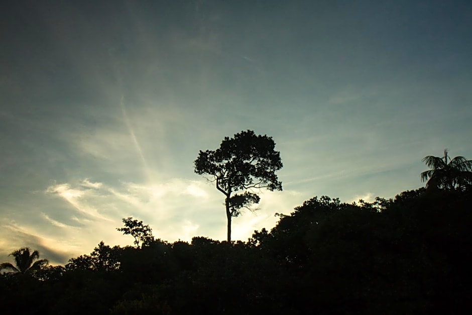 Raizando Ecologia Humana