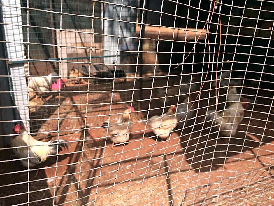 The Cradle Berry Farm