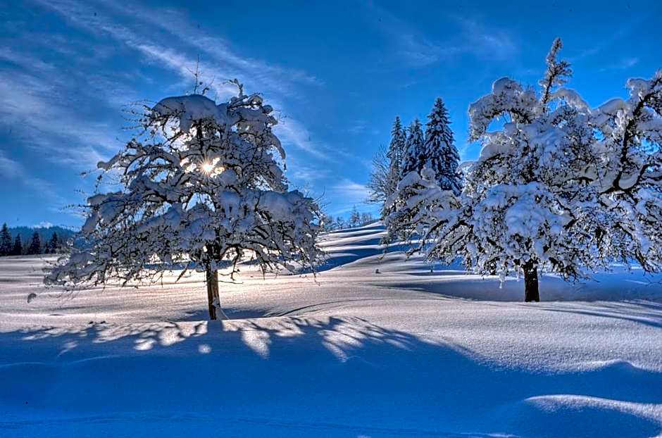 Hotel Tyrol - Oberstaufen PLUS Partner